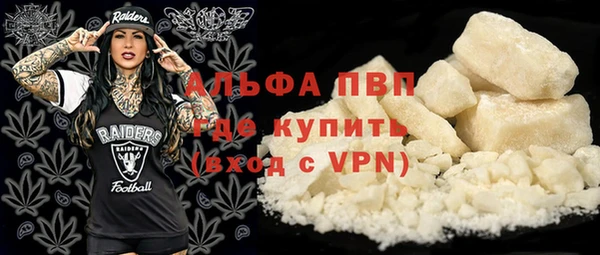 прущие грибы Заволжск