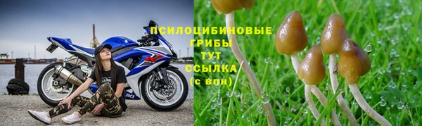 амф Алзамай